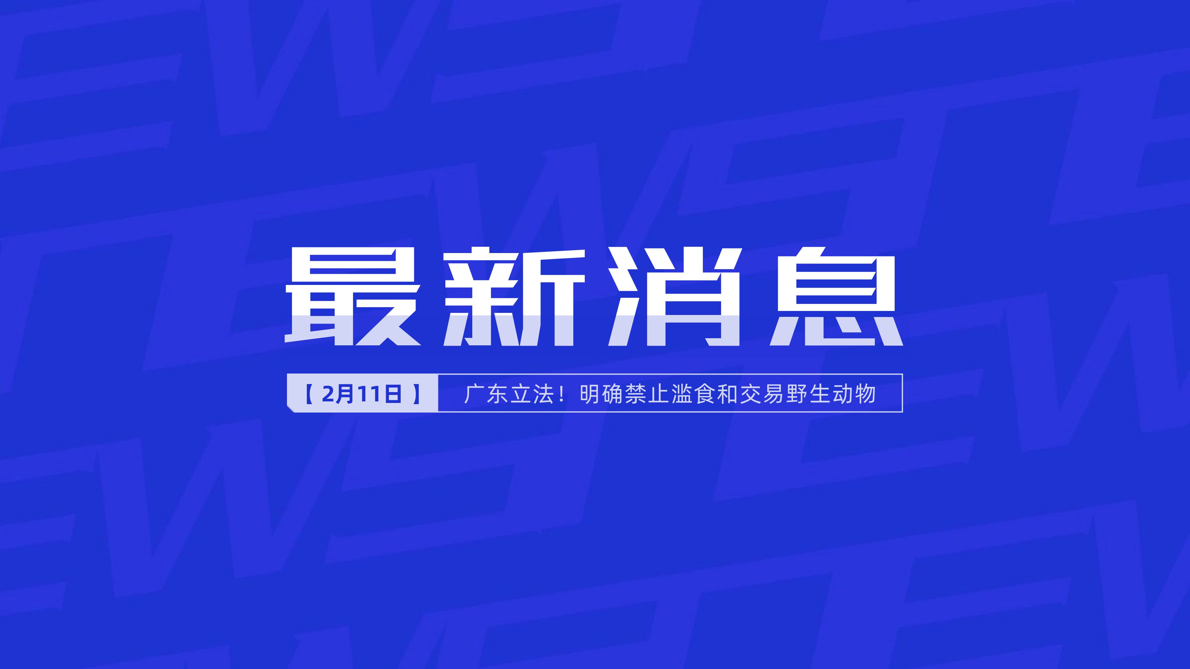 今日地方新闻概览，最新消息汇总