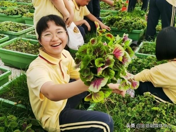 地方新闻台的崛起，塑造地方特色新闻传播新平台的影响力