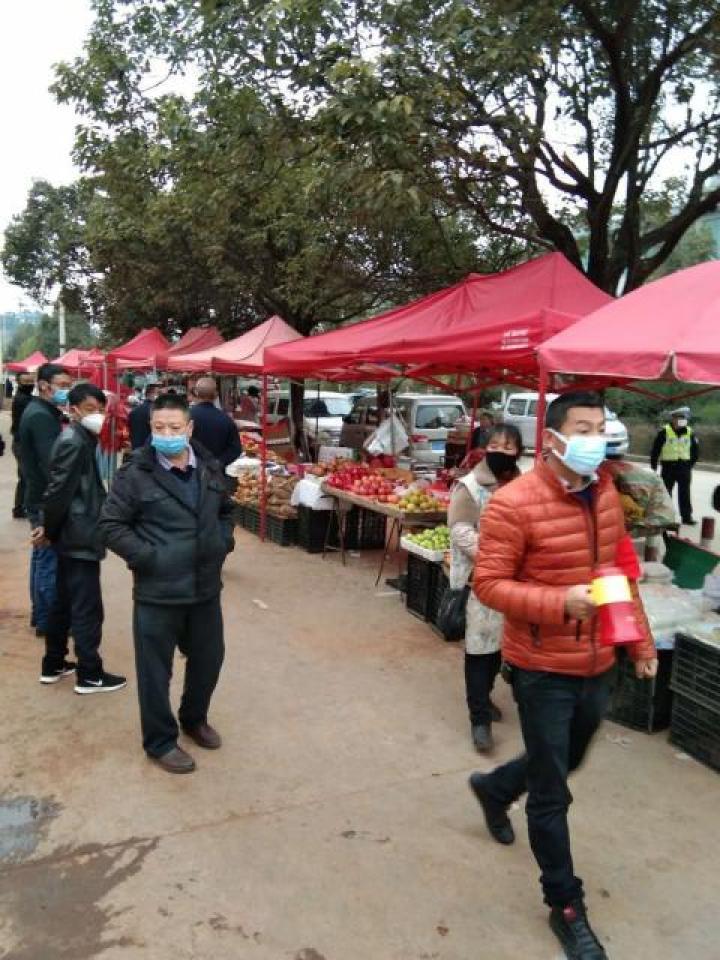 全国疫情防控政策查询官网，权威信息，一键便捷查询