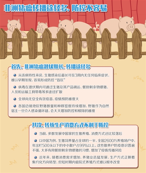 各地区防控措施，协同应对挑战