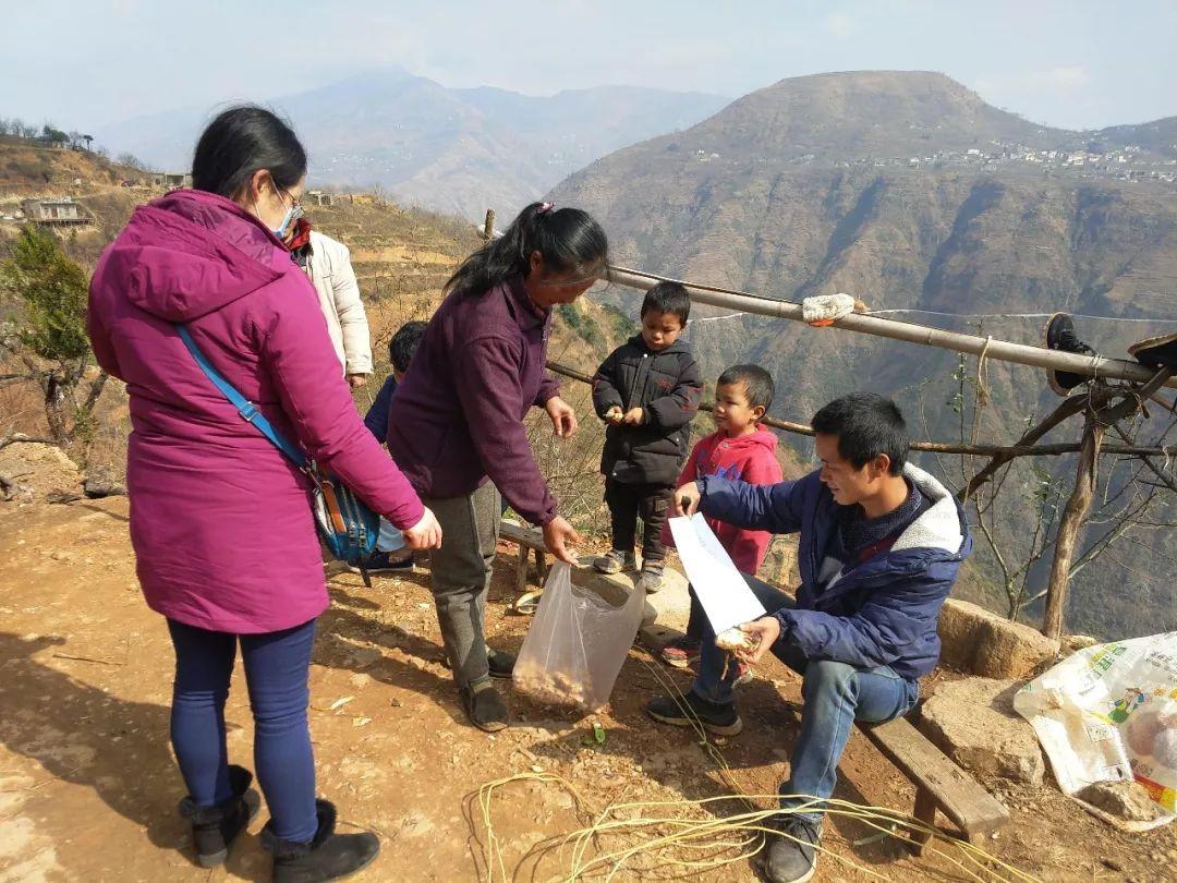 各地疫情防控政策深度探析