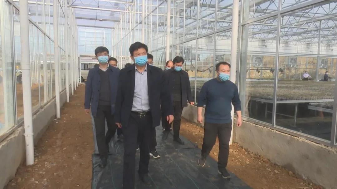 疫情防控各地措施，因地制宜，共筑防线