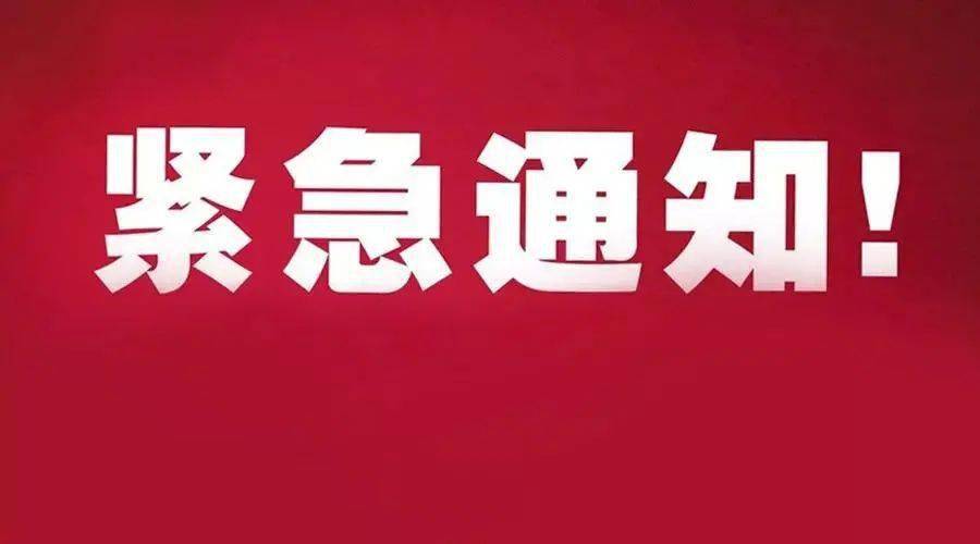 当地疫情查询官网，快速获取疫情信息的便捷平台