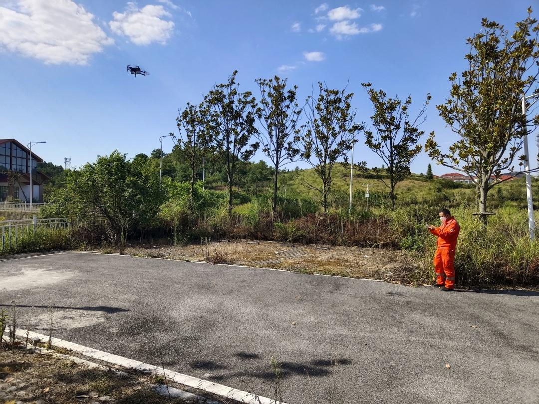 如何查询地方防疫政策，一步步了解防疫措施与规定详解