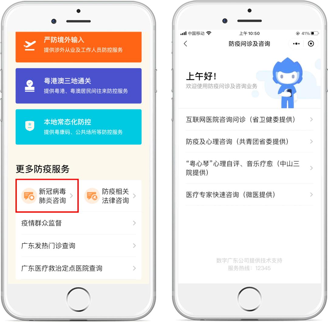 全面解析，地区防疫政策查询步骤与方法指南