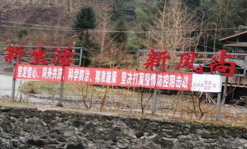 地方防疫政策解读指南