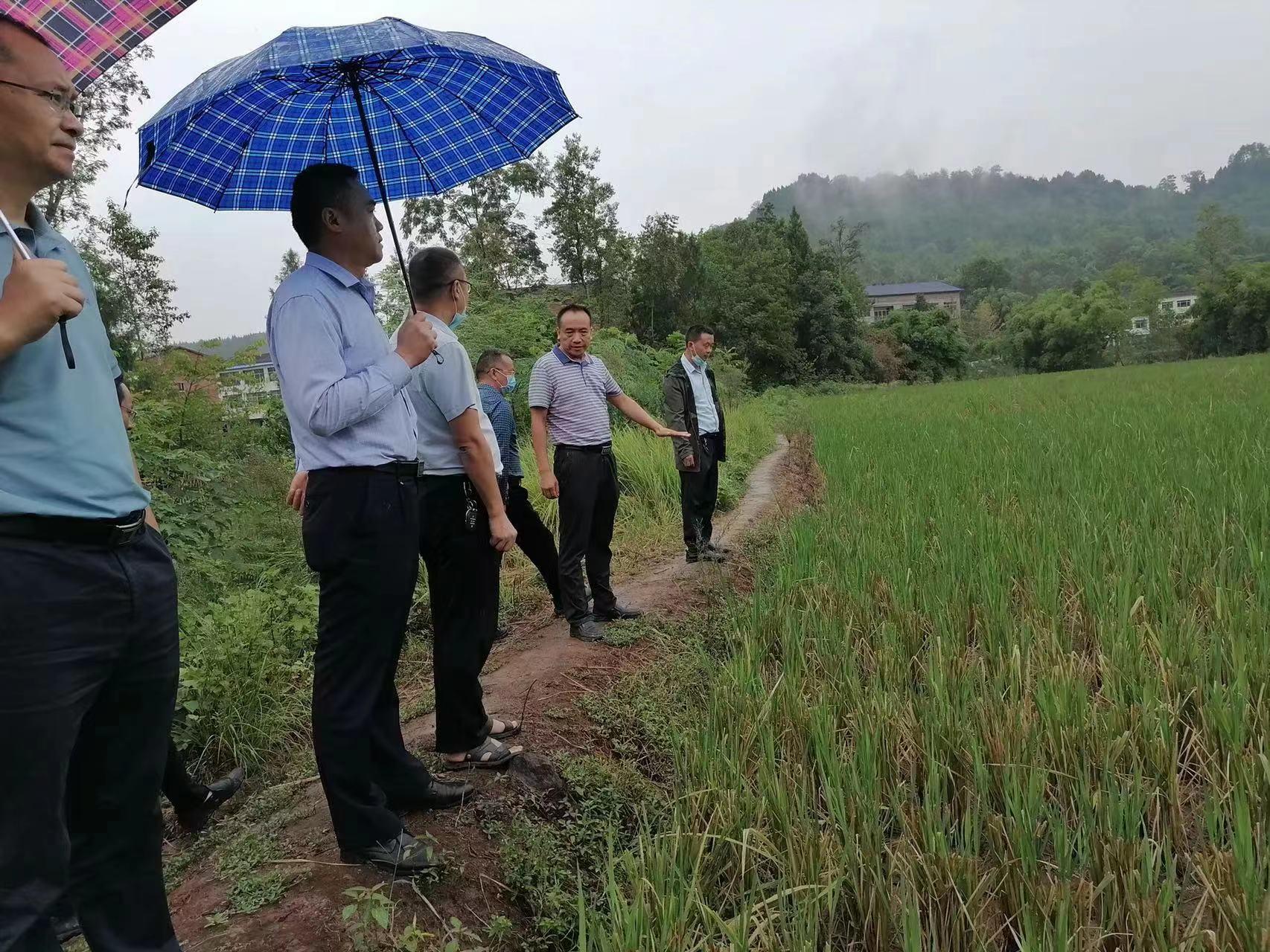 地区疫情最新消息获取方法与策略