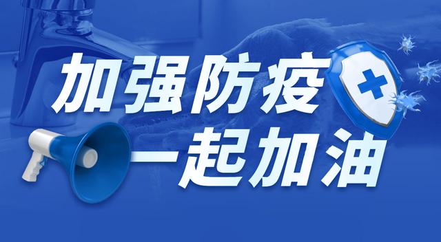 最新地方疫情查询指南，全面理解与操作指南