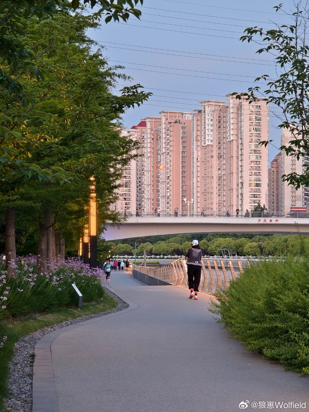 无疫城市，生活的宁静与和谐