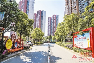 城市生活的繁荣与和谐，疫情后的开放小区新篇章