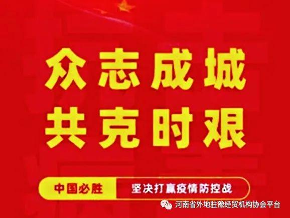 全国疫情最新动态，积极应对，共克时艰