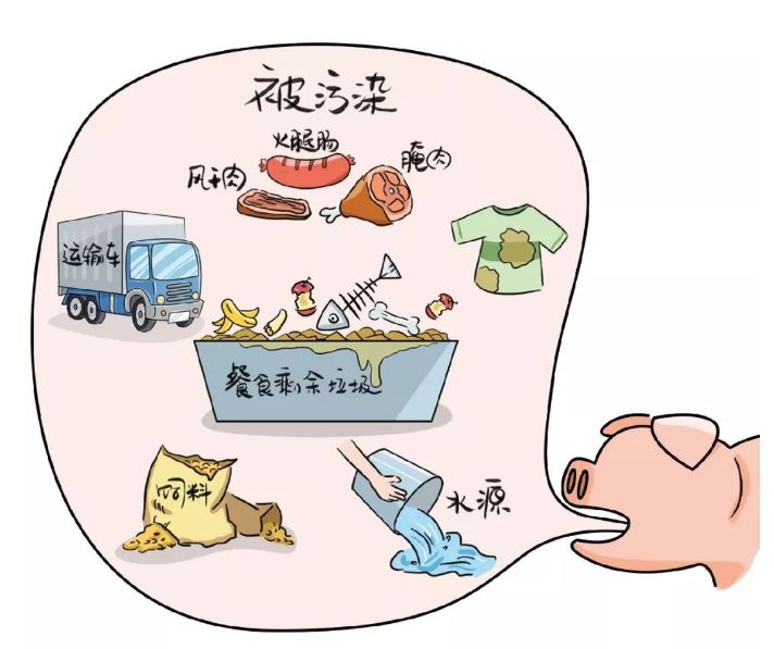 疫情时代下的病毒传播与防护，无疫情之地也存在感染风险