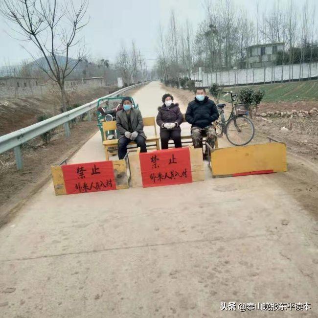 疫情统计表撰写指南与要点解析