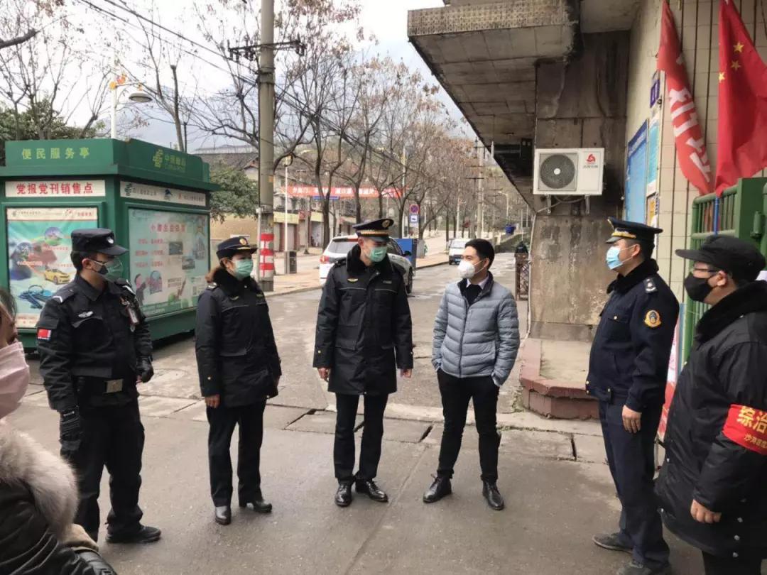 地方疫情统计表模板编写指南
