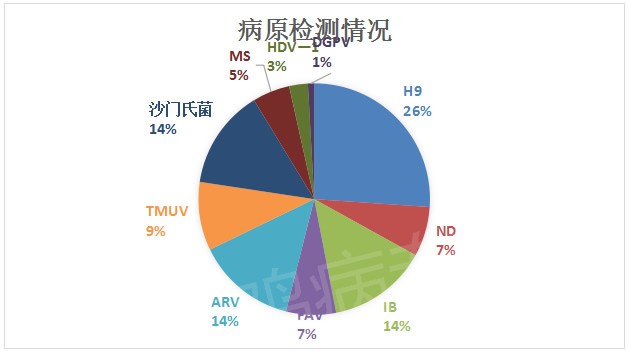 全国各地疫情统计分析与影响探讨