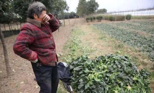 应对层层加码防控策略的挑战与应对之道