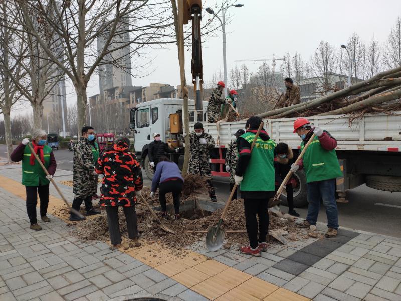 当地疫情普查资料深度解析与洞察