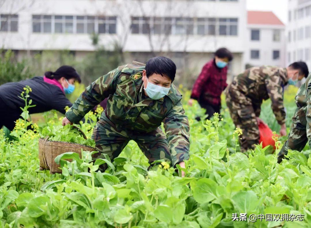 疫情普查，探寻真相的关键环节