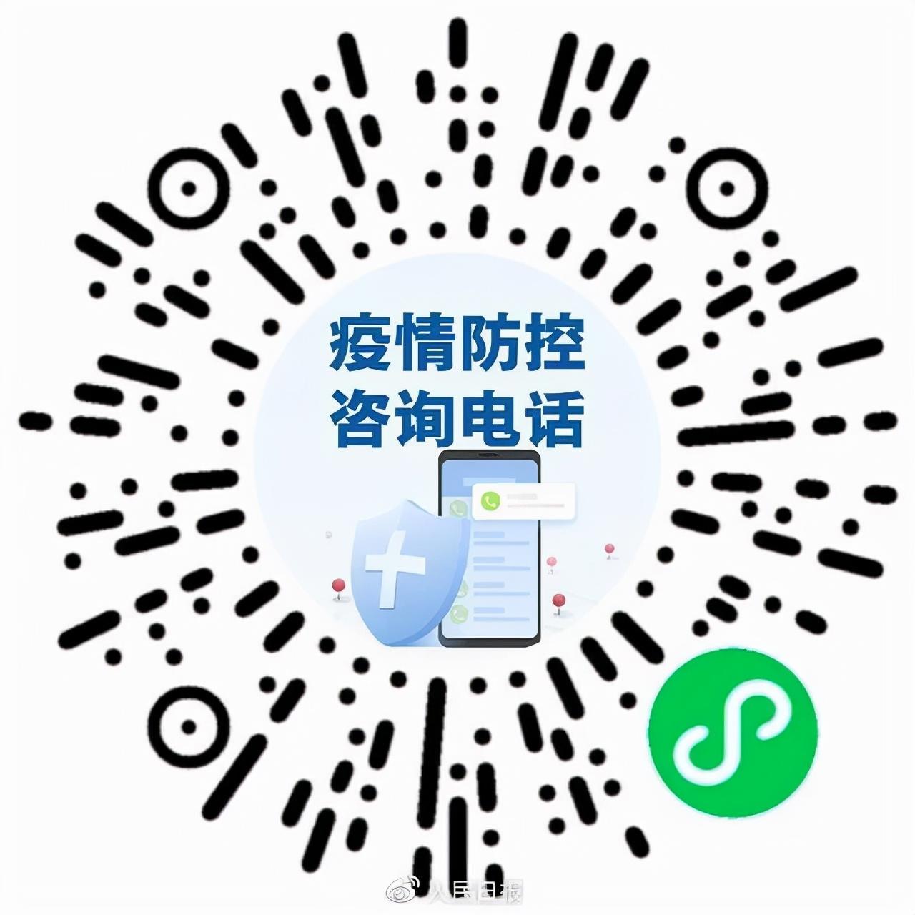 地区疫情查询系统使用指南，操作指南与实用技巧
