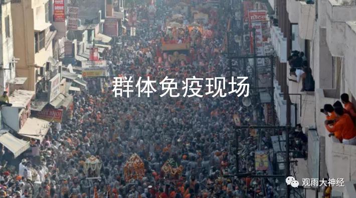 疫情数据查询，分析现状与应对策略