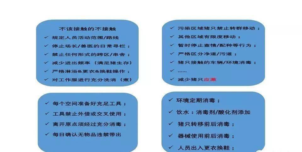 疫情应对加码现象详解，应对与举报途径解析