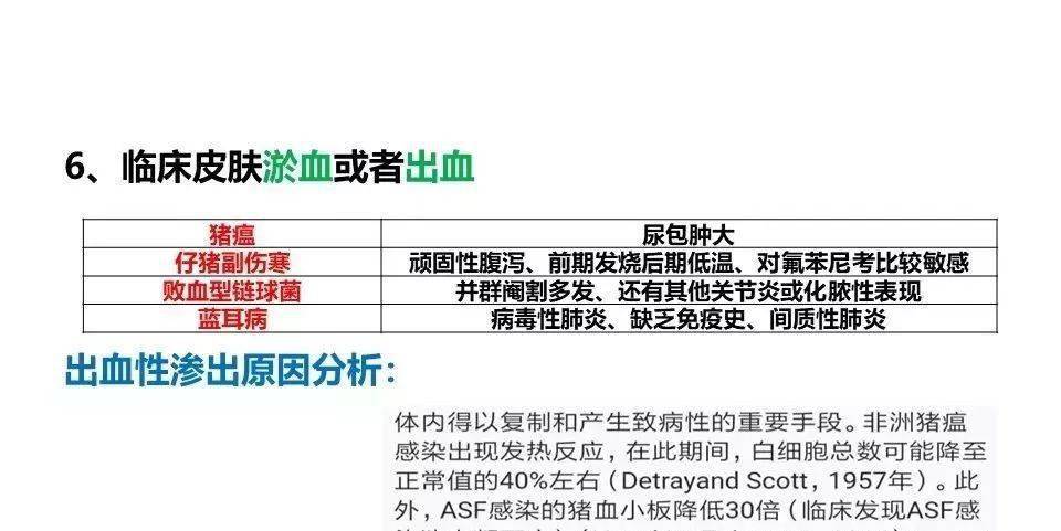 疫情应对加码现象详解，应对与举报途径解析