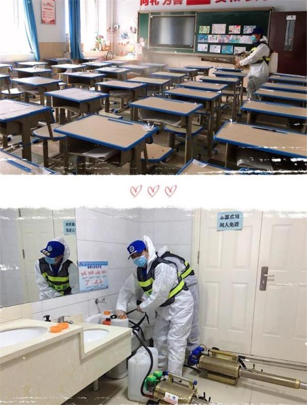 疫情防控政策查询网站，抗击疫情的重要助手