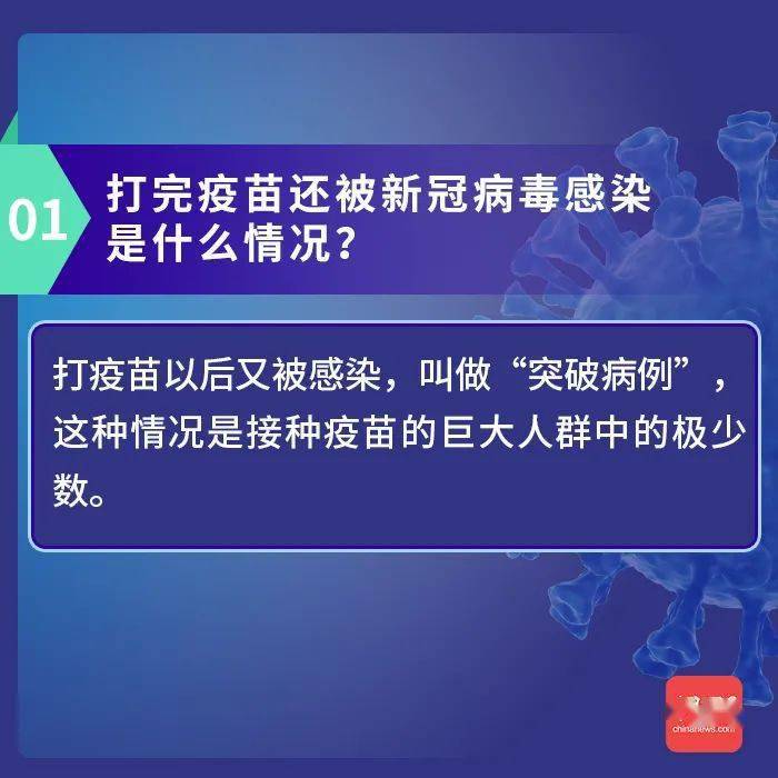 详解，如何查询地区疫情状况的步骤与方法