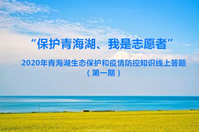 疫情志愿者行动，守护生命之光的力量