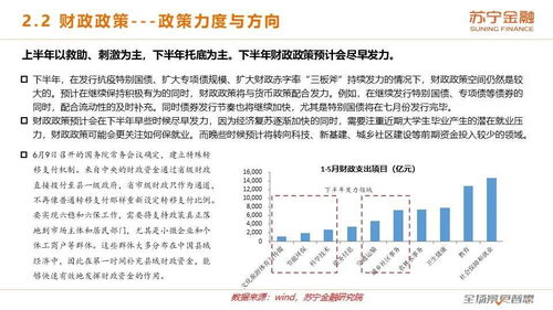 疫情下地方财政收入面临的挑战与应对策略，影响与解决方案