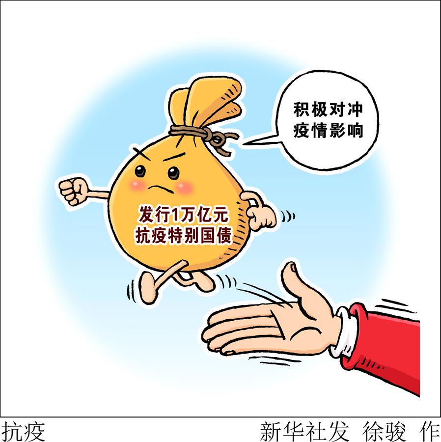 疫情影响下的财政收入波动与应对挑战