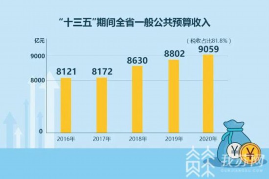 疫情影响下的财政收入波动与应对挑战