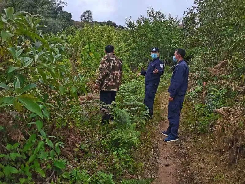 疫情管理的核心部门及其职责概述