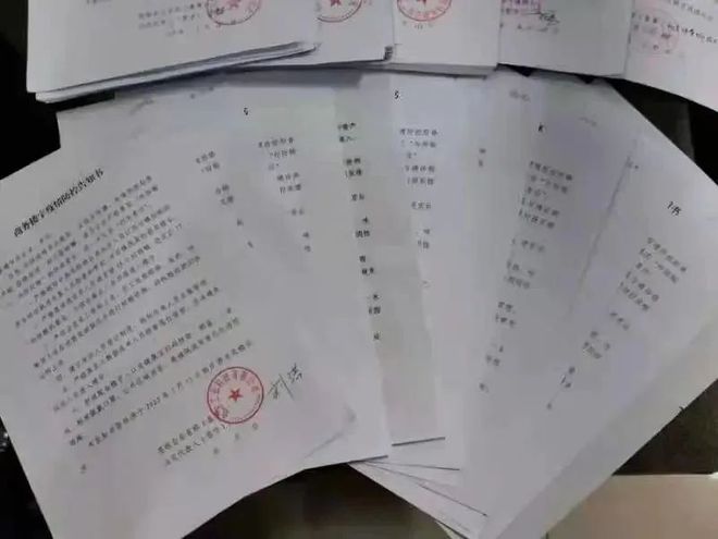 疫情防控归口管理部门的职责担当与行动指南