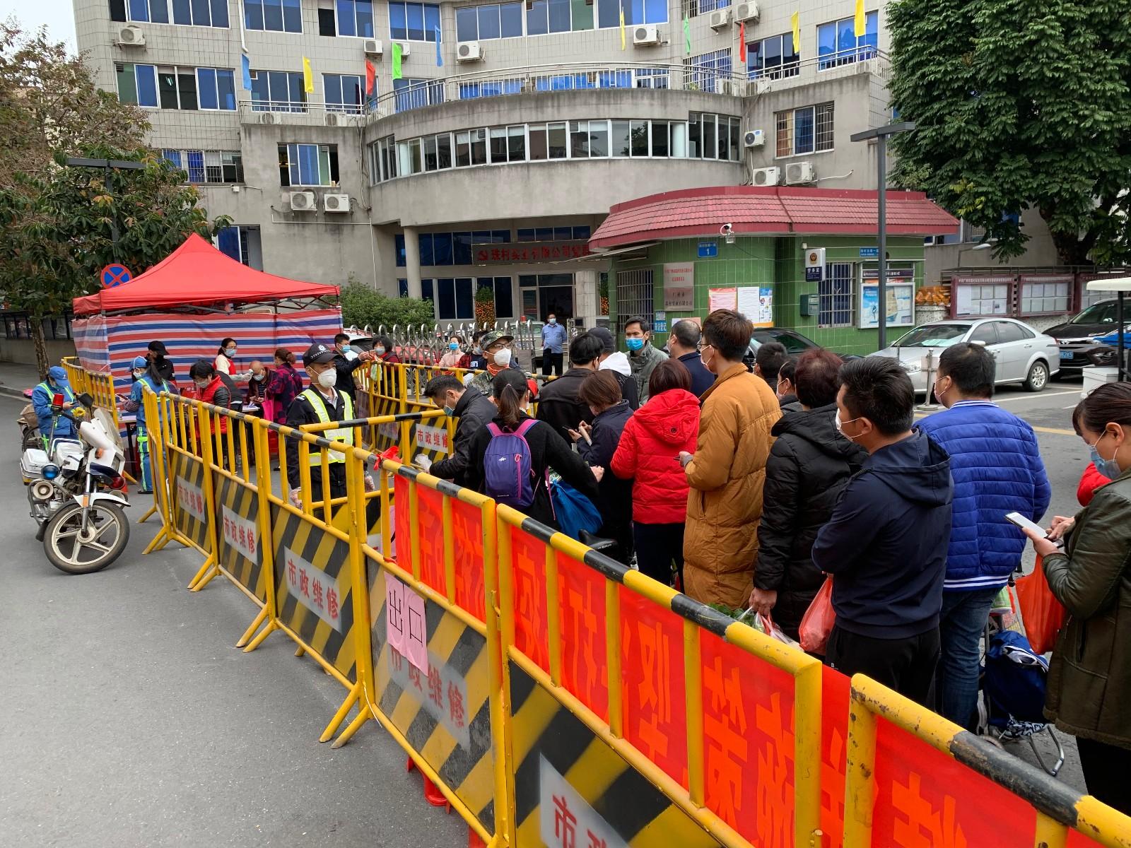 地方疫情报告查询困难的原因与解决策略探讨