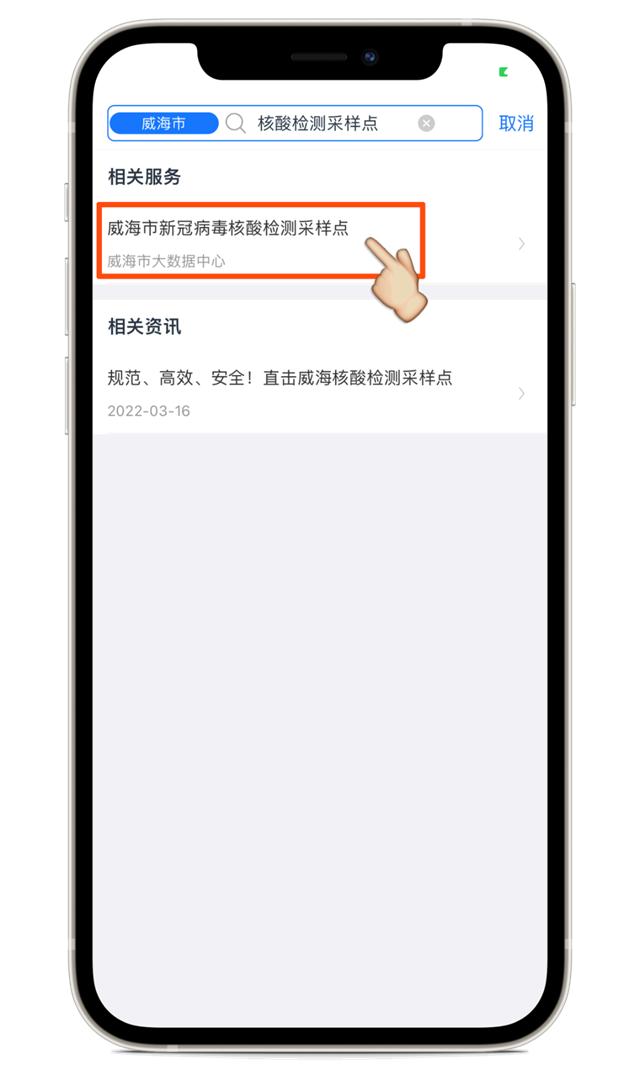 全面解析疫情检测报告查询流程与注意事项指南