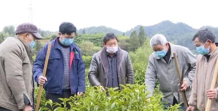 疫情政策查询途径探索，如何轻松获取当地疫情政策信息