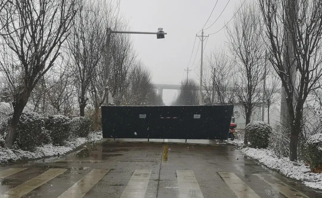 全球视角下的疫情深度洞察报告