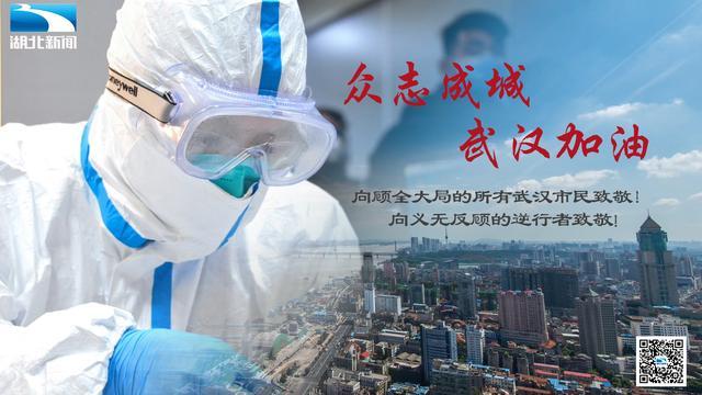 疫情属地管辖下的多元应对与地域特色深度解析