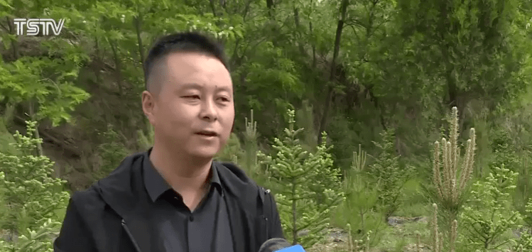 疫情背景下的区域挑战与应对策略