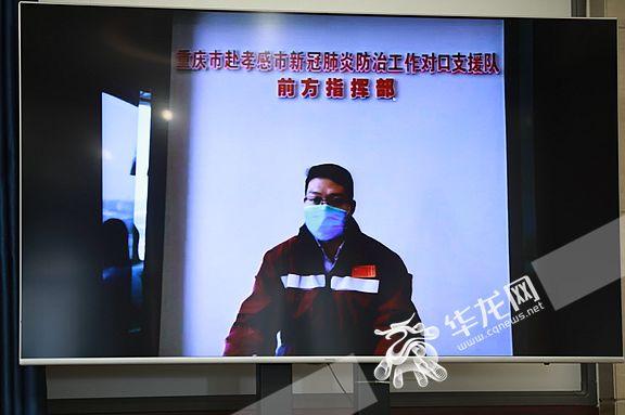 本地疫情数据揭示真相与启示，深度分析疫情数据图