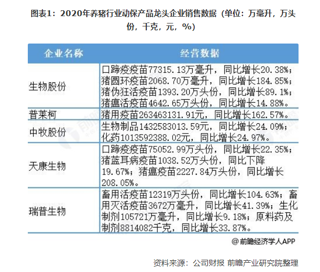 疫情属地管辖情况说明撰写指南与要点解析