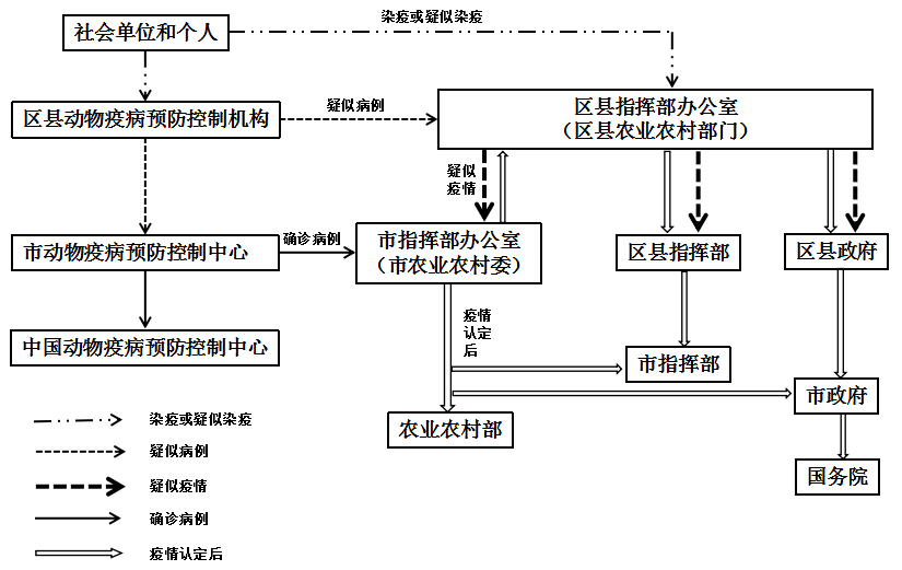 疫情属地管辖情况详解，规范处理流程与责任划分说明