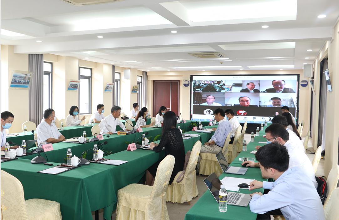 全球疫情挑战与应对策略，现实报告透视