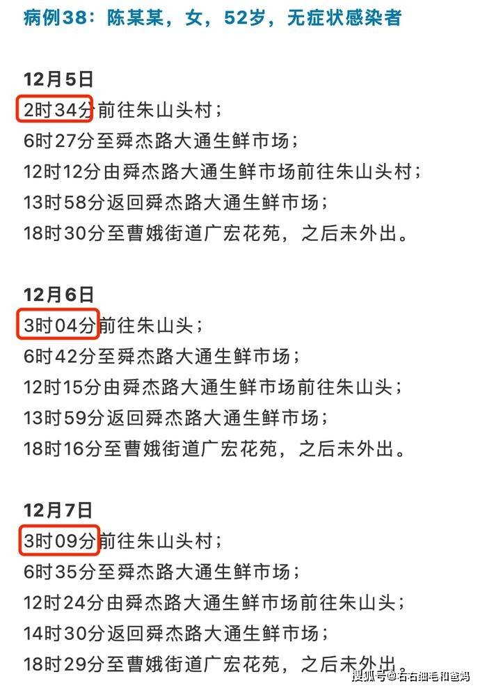 各地区疫情报告撰写指南详解