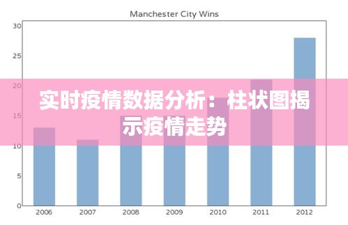 疫情统计图表揭示现状与趋势
