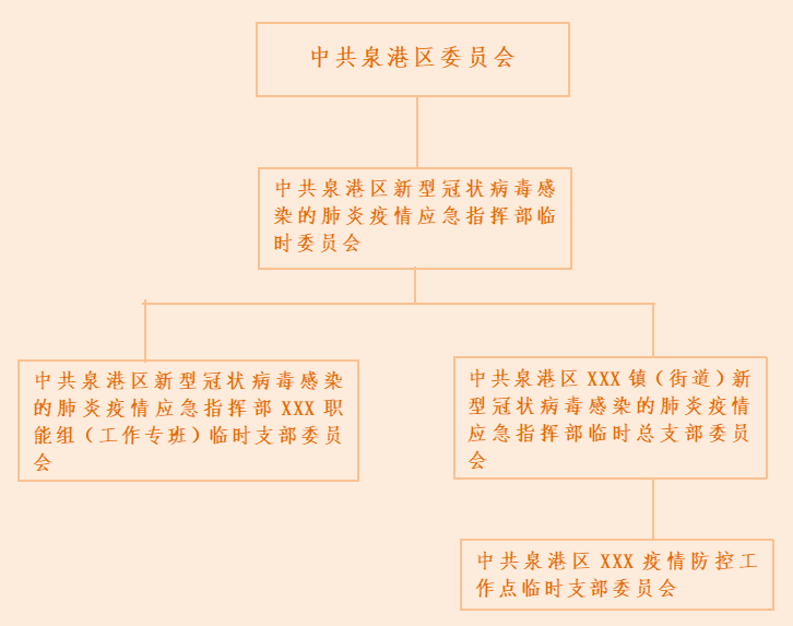 疫情防疫指挥部性质机构及其重要性解析