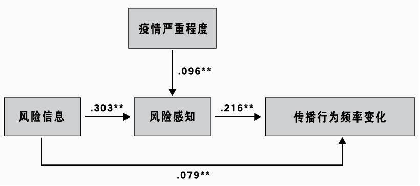 疫情指挥部的性质与功能深度解析