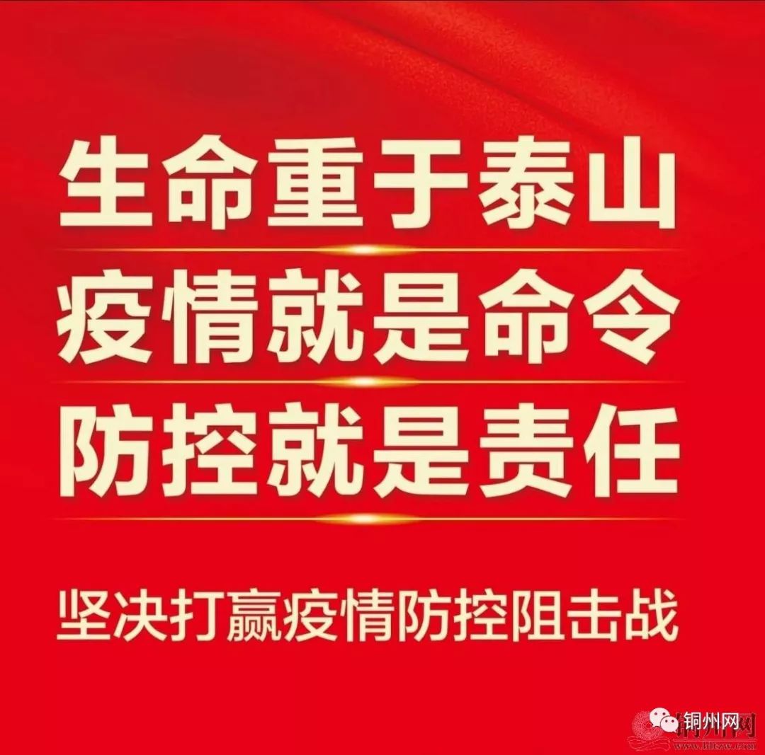 疫情防控指挥部核心工作性质，协调、决策与执行力的实践探索