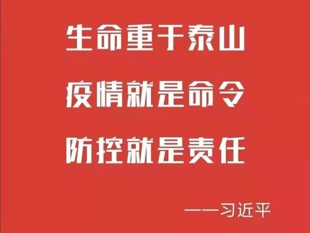 疫情防控指挥部，协同合作与责任担当的实战行动